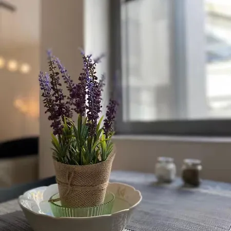 Adm Spacious In Center - Wifi, Coffee, Ac ברטיסלאבה